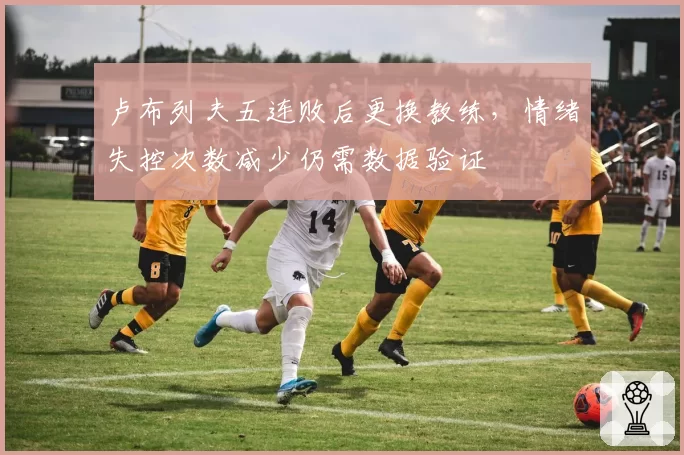 卢布列夫五连败后更换教练，情绪失控次数减少仍需数据验证